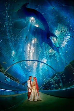 here comes the guide