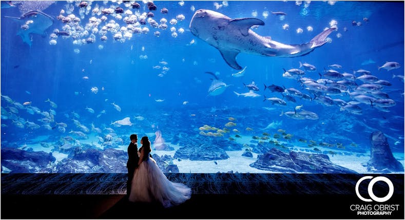 here comes the guide