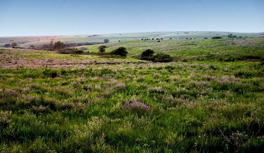 Lazy T Ranch Wedding Venue Manhattan KS 66502