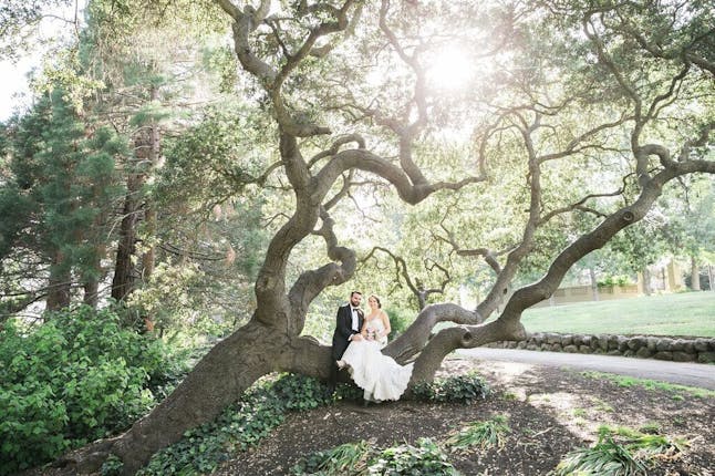 Weddings In Piedmont Community Hall San Francisco Bay Area Wedding