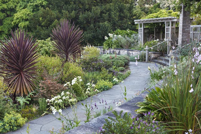 San Francisco Botanical Garden Wedding Venue San Francisco Ca San Francisco Botanical Garden Wedding Venue San Francisco Ca
