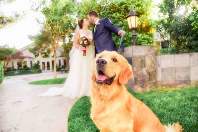 Sunset Gardens Las Vegas Weddings Nevada Wedding Venues 89120