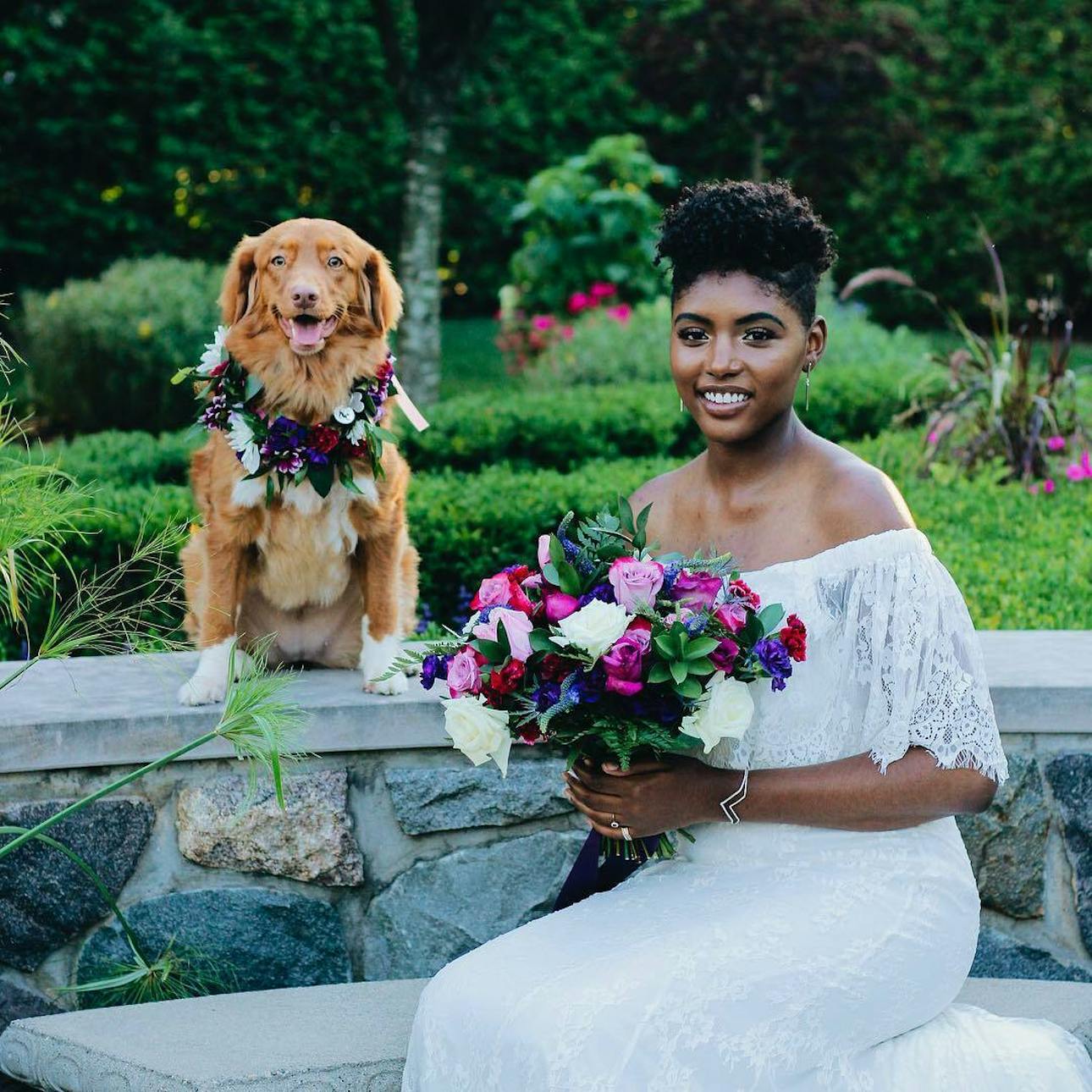 Taylor Conservatory and Botanical Gardens Weddings Detroit Wedding…