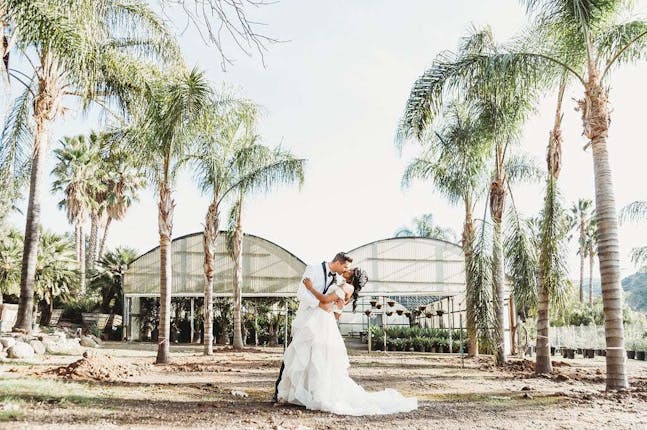 The Greenhouse At Plantenders Nursery Oc Wedding Venue Silverado Ca The Greenhouse At Plantenders Nursery